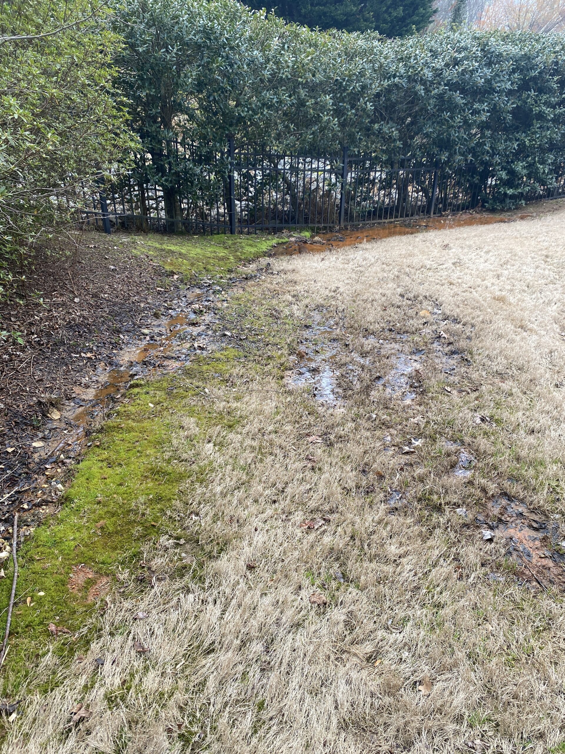 How Do I Fix Yard Drainage Problems? 15 Simple Drainage Solutions to Protect Your Home