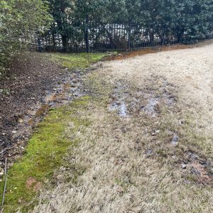 How Do I Fix Yard Drainage Problems? 15 Simple Drainage Solutions to Protect Your Home