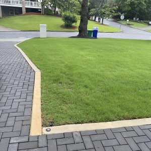 How Do Permeable Pavers Work? Everything You Need to Know